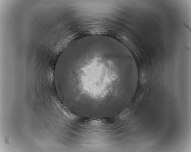 X0000101950405200808011050