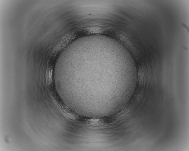 X0000101950406200808011050