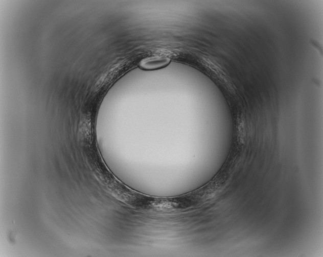 X0000101950407200808011050