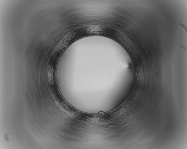 X0000101950408200808011050