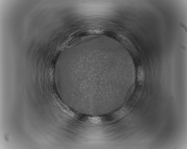 X0000101950409200808011050