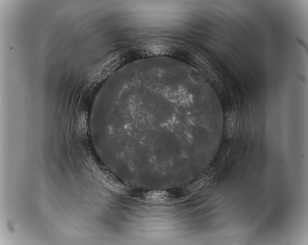 X0000101950410200808011050