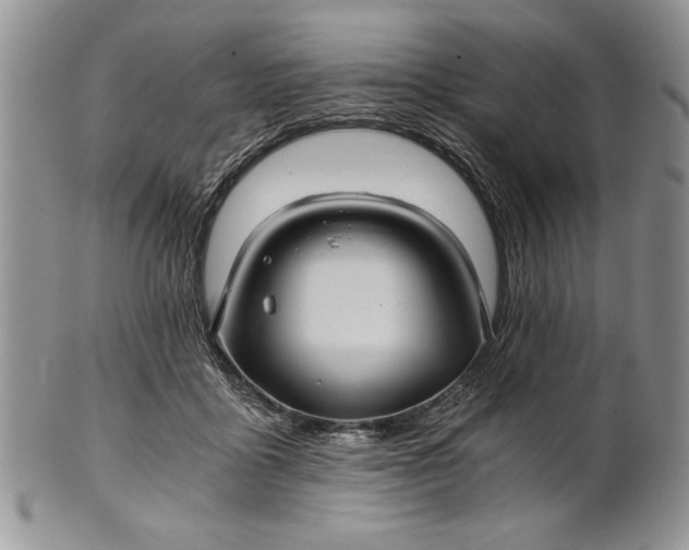 X0000101950411200808011050