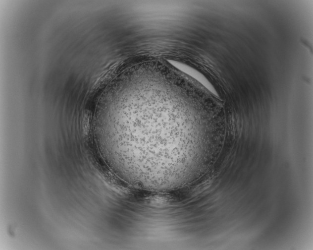 X0000101950412200808011050