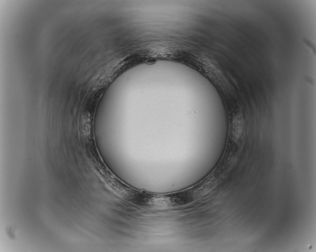 X0000101950413200808011050