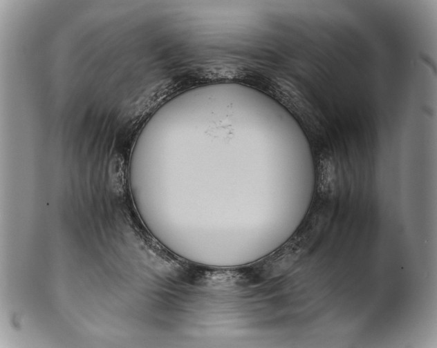 X0000101950414200808011050