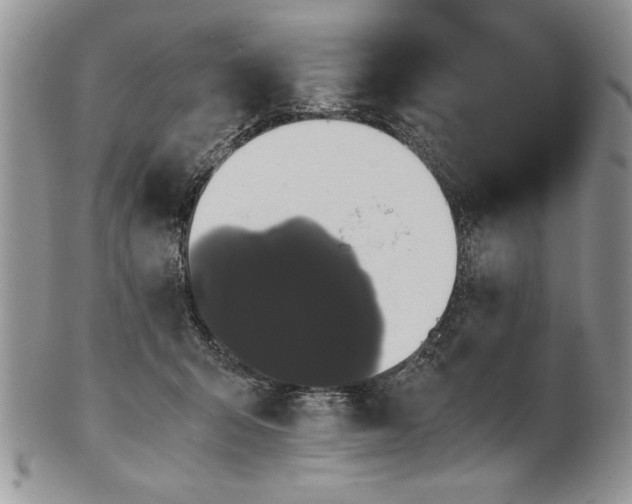 X0000101950415200808011050