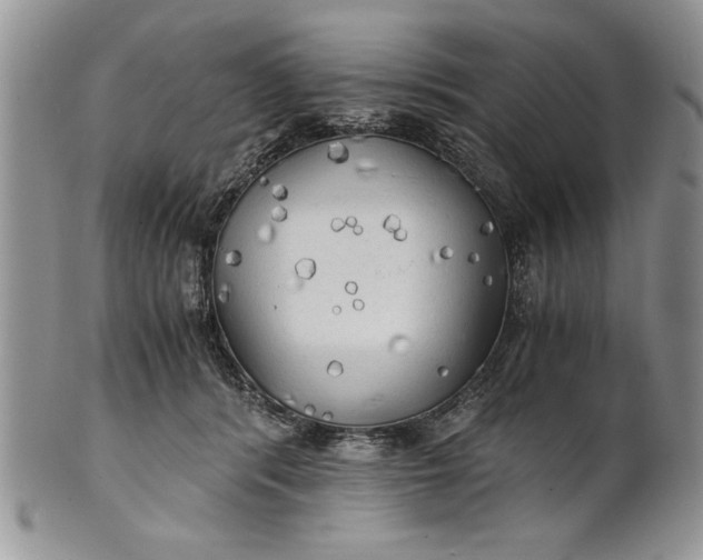 X0000101950416200808011050