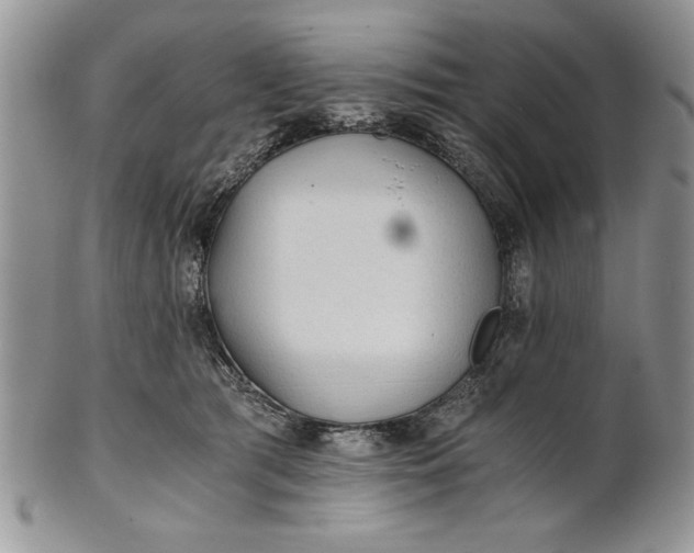 X0000101950417200808011050