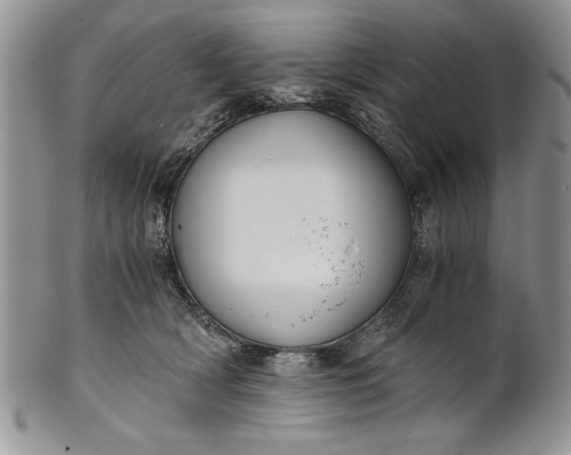 X0000101950418200808011050