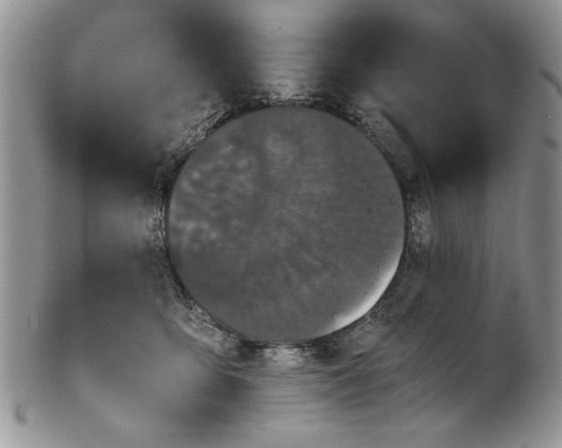 X0000101950419200808011050