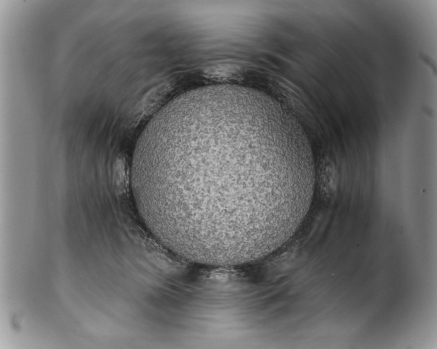 X0000101950420200808011050