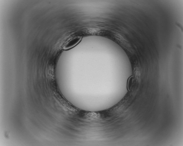 X0000101950421200808011050