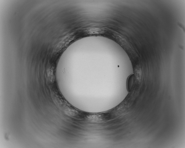 X0000101950422200808011050