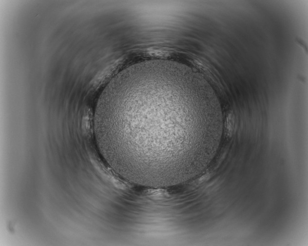 X0000101950424200808011050