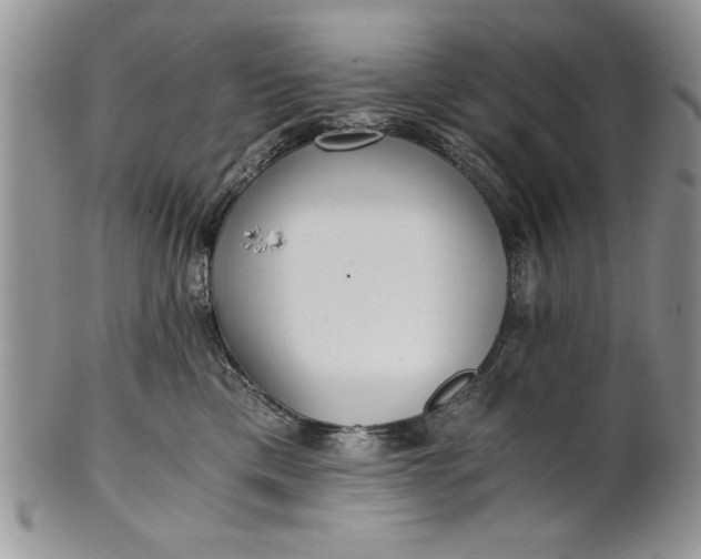 X0000101950425200808011050