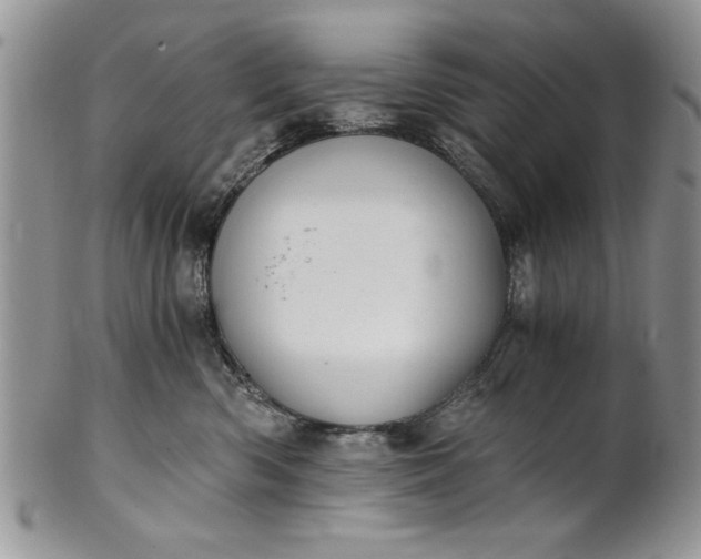 X0000101950426200808011050