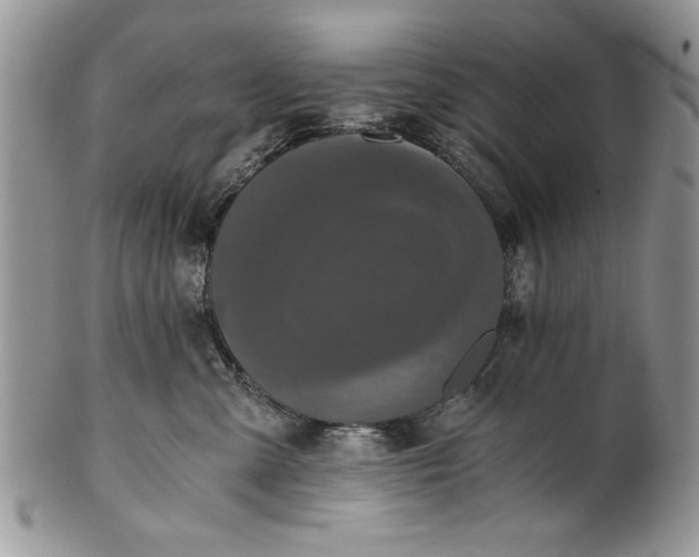 X0000101950427200808011049