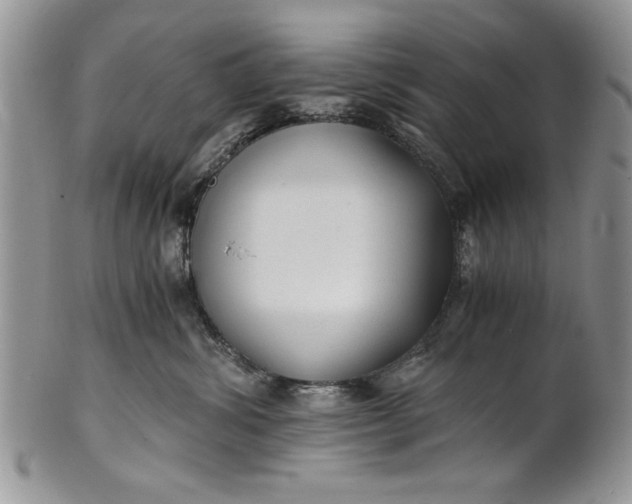 X0000101950428200808011049