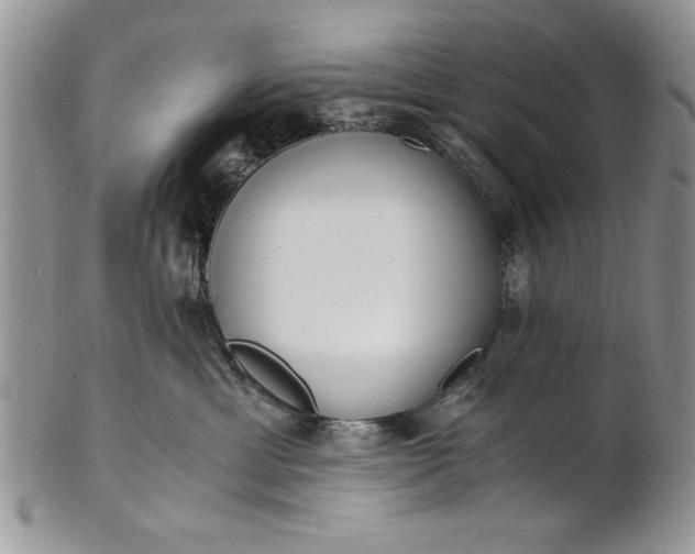 X0000101950429200808011049