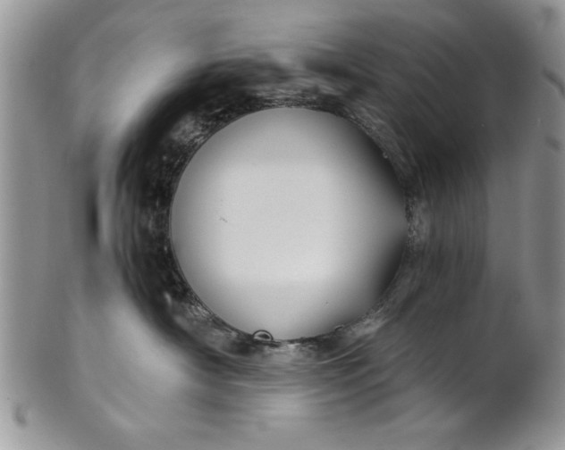 X0000101950430200808011049