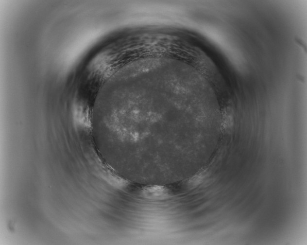 X0000101950431200808011049