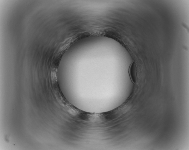 X0000101950432200808011049