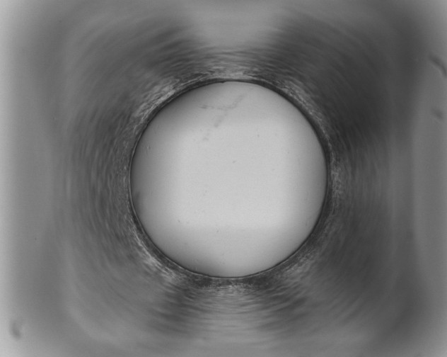 X0000101950433200808011049