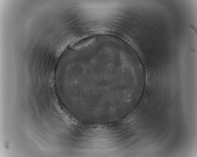 X0000101950434200808011049