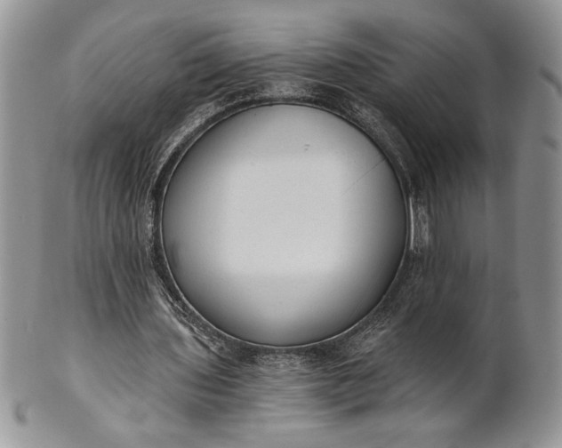 X0000101950435200808011049