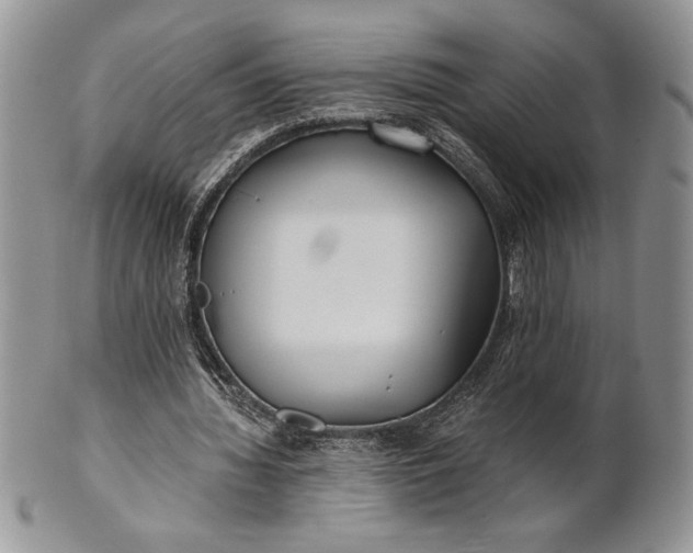 X0000101950436200808011049