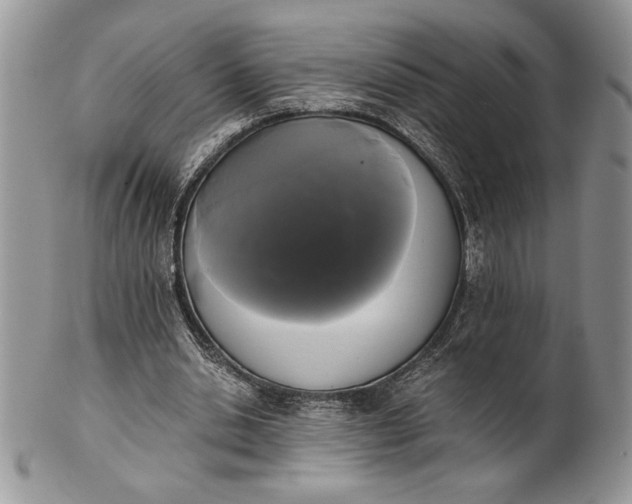 X0000101950438200808011049