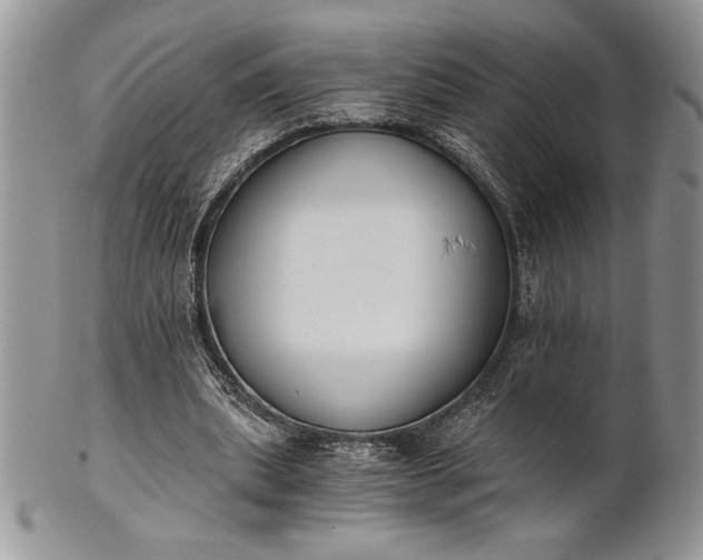 X0000101950439200808011049