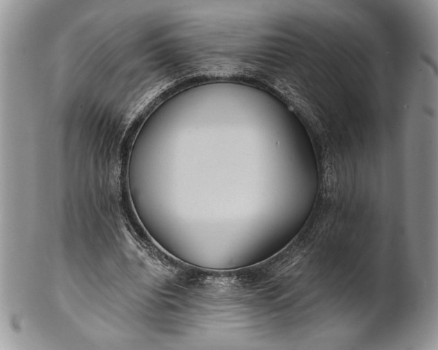 X0000101950440200808011049