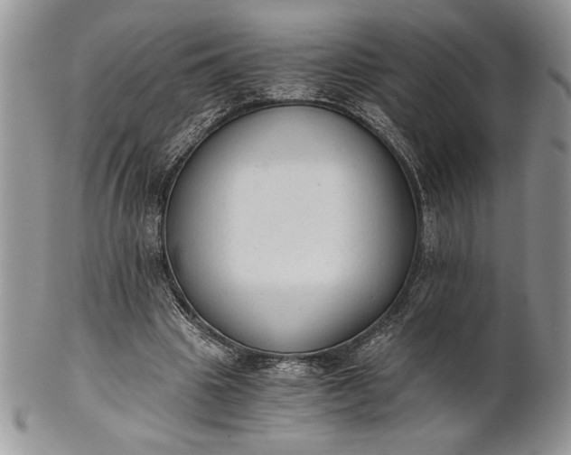 X0000101950441200808011049