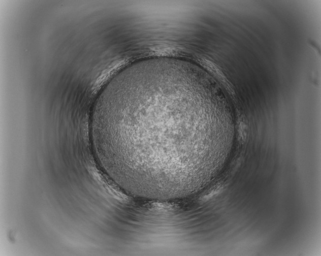 X0000101950442200808011049