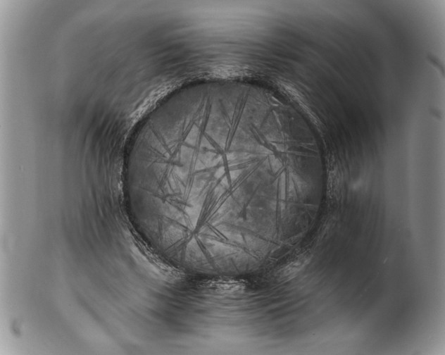 X0000101950443200808011049