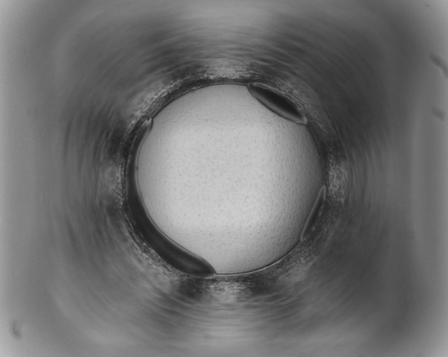 X0000101950444200808011049