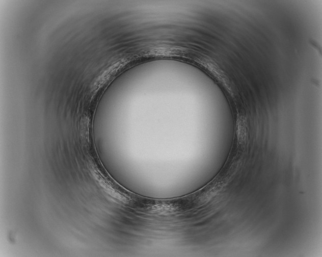 X0000101950445200808011049