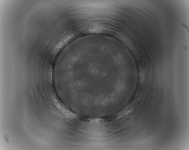 X0000101950446200808011049