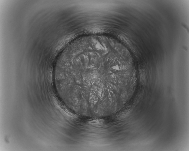 X0000101950447200808011049