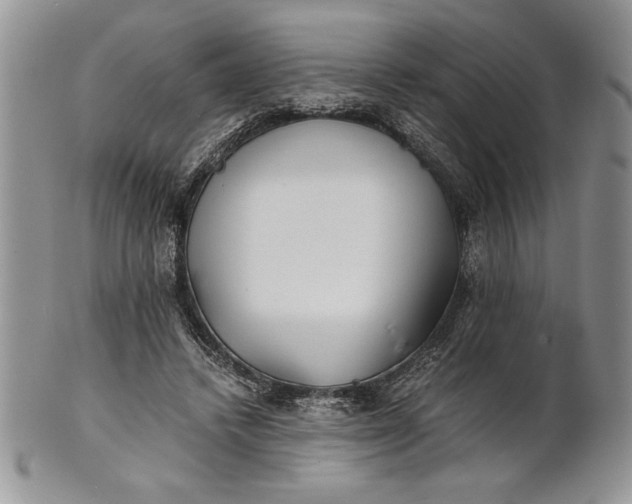 X0000101950448200808011049