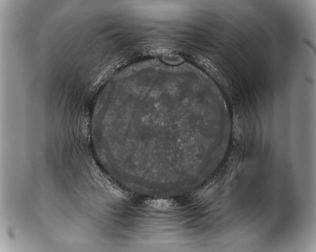 X0000101950449200808011049