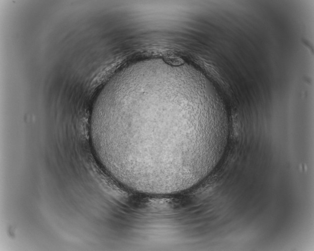 X0000101950450200808011049