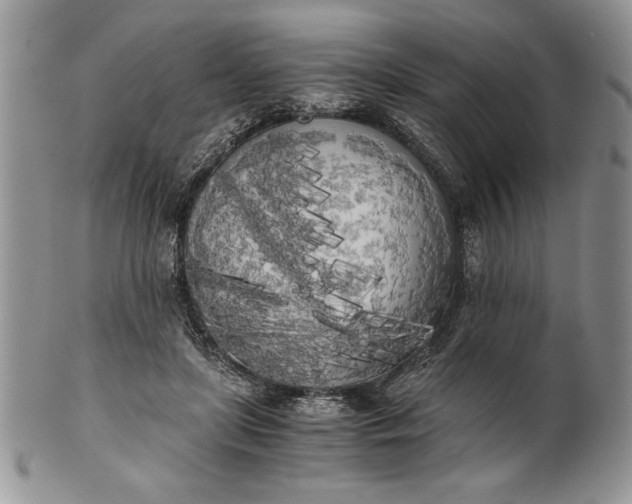 X0000101950451200808011049