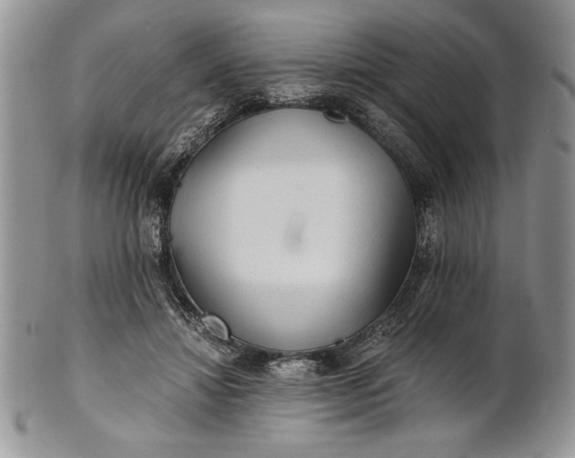 X0000101950452200808011049