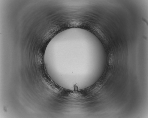 X0000101950455200808011049