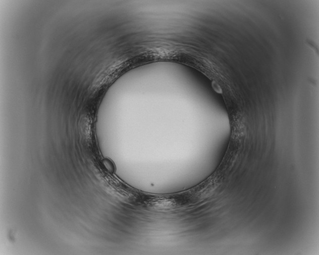 X0000101950456200808011049