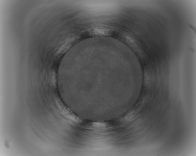 X0000101950457200808011049