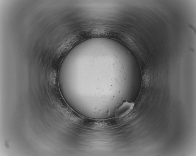 X0000101950458200808011049